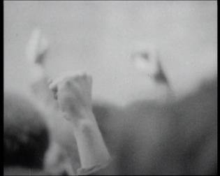 Coffret Arte Video Black Panthers 