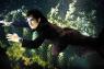 L�univers onirique de Michel Gondry