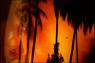 La guerre du Vietnam dans le cin�ma am�ricain