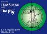 La Mouche/The Fly