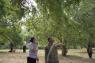 Oncle Boonmee, celui qui se souvient de ses vies ant�rieures