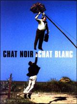Chat Noir Chat Blanc Il Etait Une Fois Le Cinema